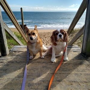 Meet your Posher, Lynda